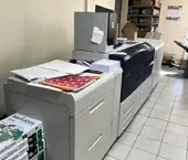 thumbs